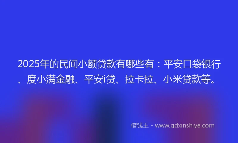 2025年的民间小额贷款有哪些有：平安口袋银行、度小满金融、平安i贷、拉卡拉、小米贷款等。