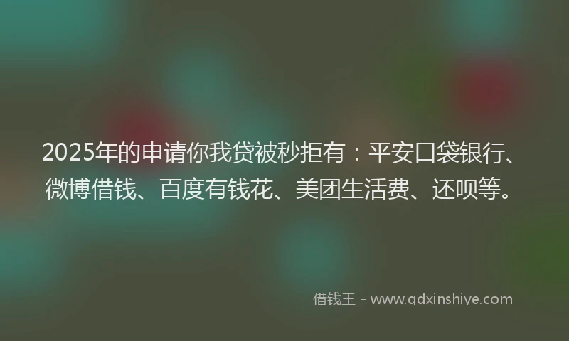 2025年的申请你我贷被秒拒有：平安口袋银行、微博借钱、百度有钱花、美团生活费、还呗等。
