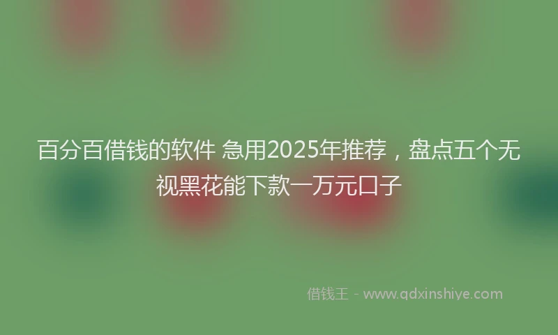 百分百借钱的软件 急用2025年推荐，盘点五个无视黑花能下款一万元口子