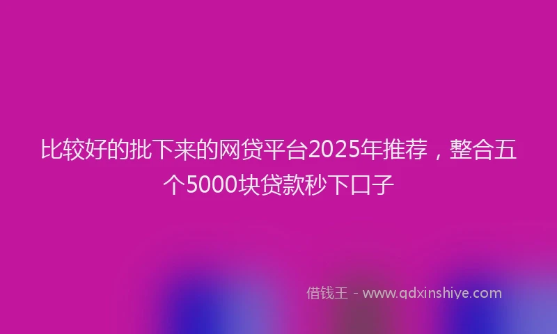 比较好的批下来的网贷平台2025年推荐，整合五个5000块贷款秒下口子