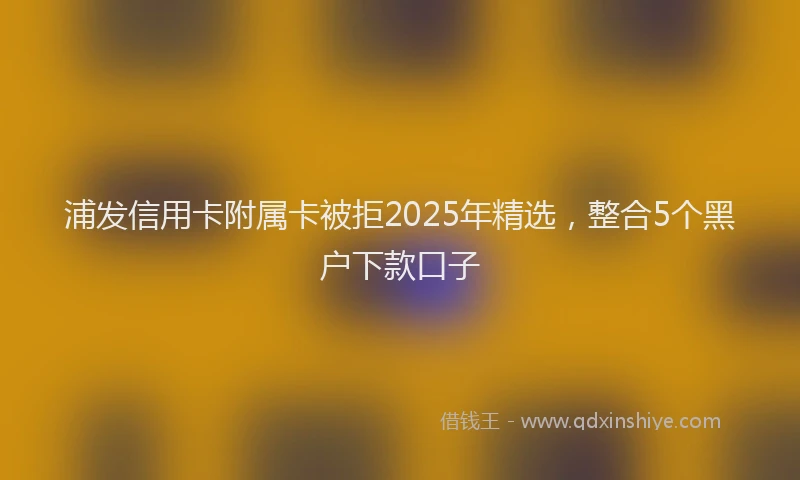 浦发信用卡附属卡被拒2025年精选，整合5个黑户下款口子