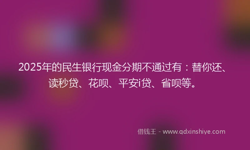 2025年的民生银行现金分期不通过有：替你还、读秒贷、花呗、平安i贷、省呗等。