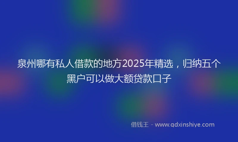 泉州哪有私人借款的地方2025年精选，归纳五个黑户可以做大额贷款口子