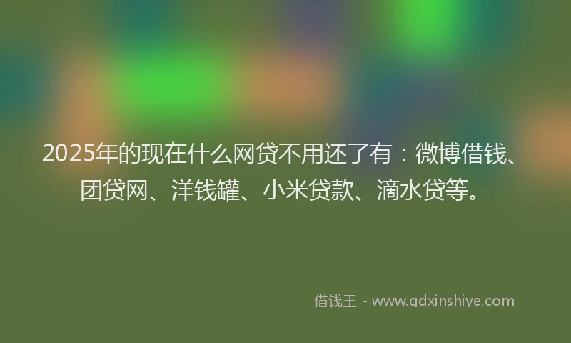 2025年的现在什么网贷不用还了有：微博借钱、团贷网、洋钱罐、小米贷款、滴水贷等。