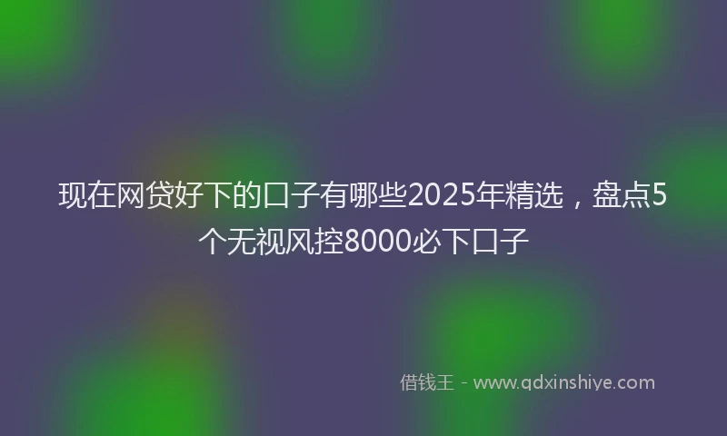 现在网贷好下的口子有哪些2025年精选，盘点5个无视风控8000必下口子