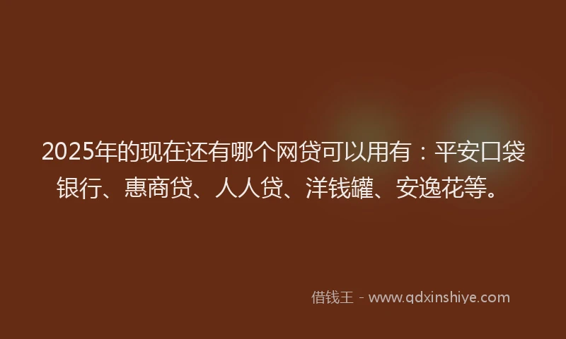 2025年的现在还有哪个网贷可以用有：平安口袋银行、惠商贷、人人贷、洋钱罐、安逸花等。