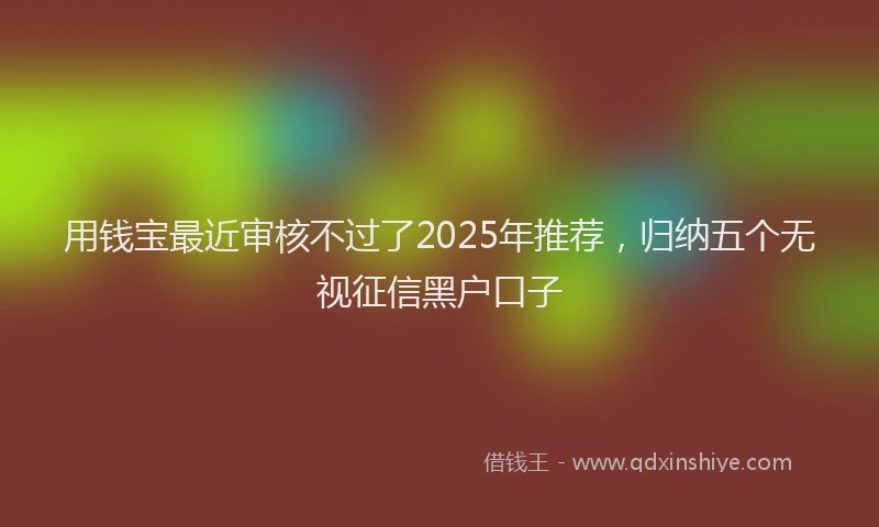 用钱宝最近审核不过了2025年推荐，归纳五个无视征信黑户口子
