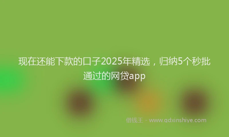 现在还能下款的口子2025年精选，归纳5个秒批通过的网贷app