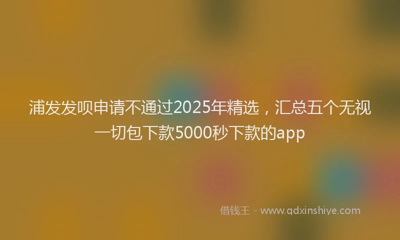 浦发发呗申请不通过2025年精选，汇总五个无视一切包下款5000秒下款的app