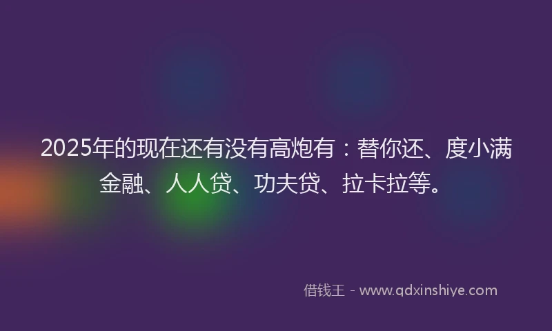 2025年的现在还有没有高炮有：替你还、度小满金融、人人贷、功夫贷、拉卡拉等。