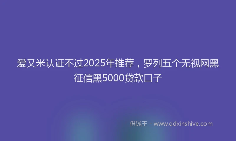 爱又米认证不过2025年推荐，罗列五个无视网黑征信黑5000贷款口子