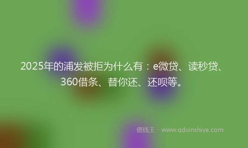 2025年的浦发被拒为什么有：e微贷、读秒贷、360借条、替你还、还呗等。