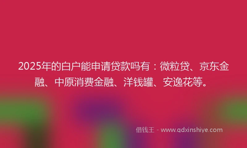 2025年的白户能申请贷款吗有：微粒贷、京东金融、中原消费金融、洋钱罐、安逸花等。
