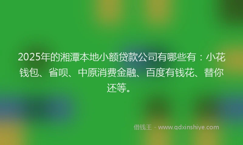 2025年的湘潭本地小额贷款公司有哪些有：小花钱包、省呗、中原消费金融、百度有钱花、替你还等。