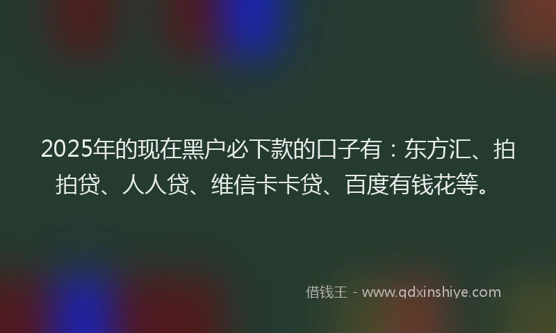 2025年的现在黑户必下款的口子有：东方汇、拍拍贷、人人贷、维信卡卡贷、百度有钱花等。