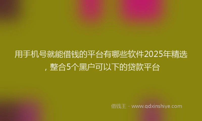 用手机号就能借钱的平台有哪些软件2025年精选，整合5个黑户可以下的贷款平台