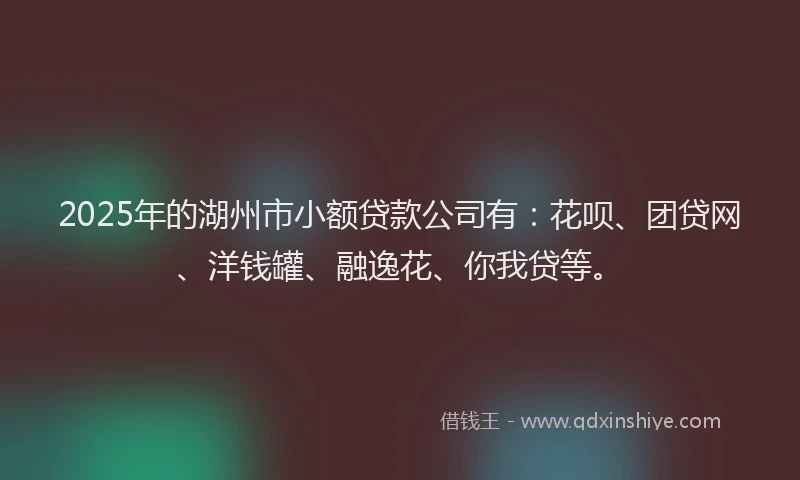 2025年的湖州市小额贷款公司有：花呗、团贷网、洋钱罐、融逸花、你我贷等。