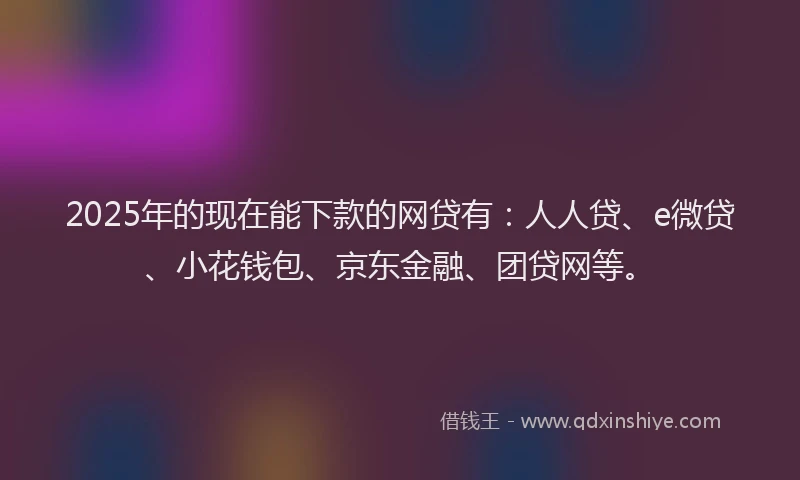 2025年的现在能下款的网贷有：人人贷、e微贷、小花钱包、京东金融、团贷网等。