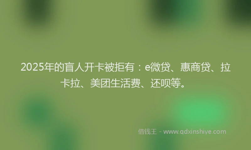 2025年的盲人开卡被拒有：e微贷、惠商贷、拉卡拉、美团生活费、还呗等。