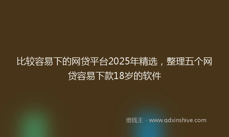 比较容易下的网贷平台2025年精选，整理五个网贷容易下款18岁的软件