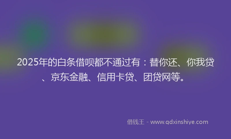 2025年的白条借呗都不通过有：替你还、你我贷、京东金融、信用卡贷、团贷网等。