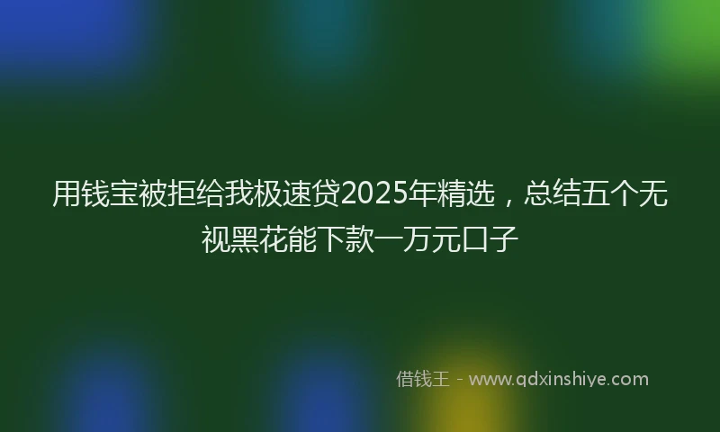 用钱宝被拒给我极速贷2025年精选，总结五个无视黑花能下款一万元口子