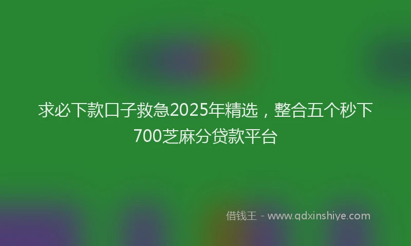求必下款口子救急2025年精选，整合五个秒下700芝麻分贷款平台