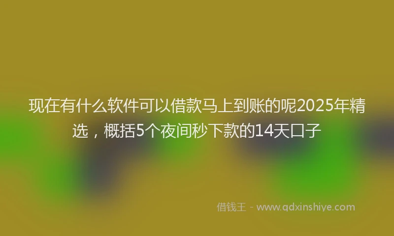 现在有什么软件可以借款马上到账的呢2025年精选，概括5个夜间秒下款的14天口子