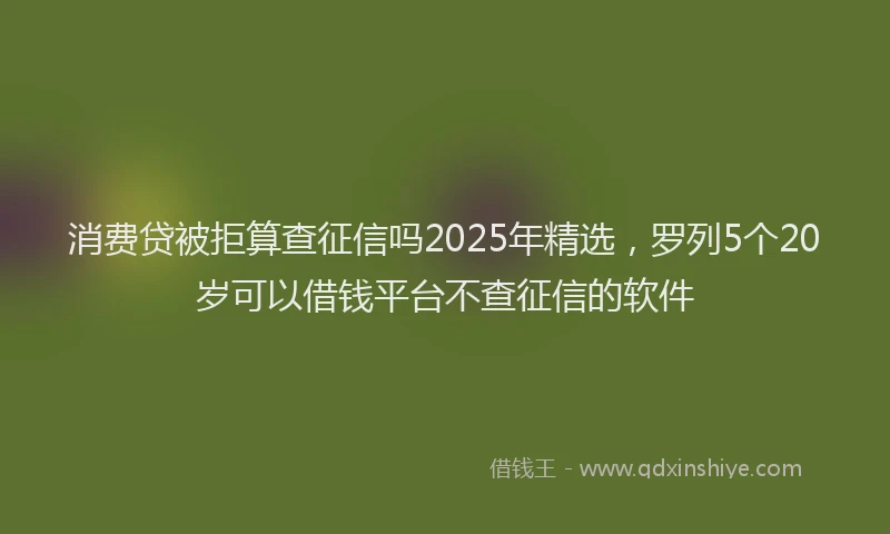 消费贷被拒算查征信吗2025年精选，罗列5个20岁可以借钱平台不查征信的软件