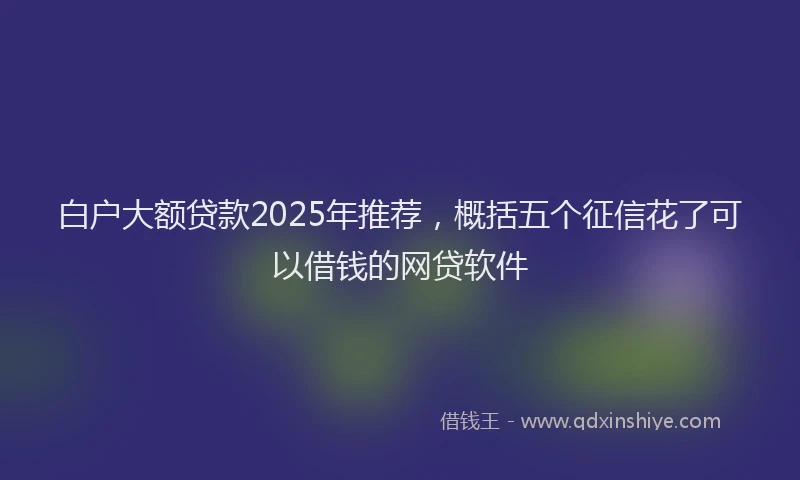 白户大额贷款2025年推荐，概括五个征信花了可以借钱的网贷软件