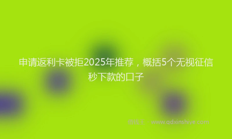 申请返利卡被拒2025年推荐，概括5个无视征信秒下款的口子