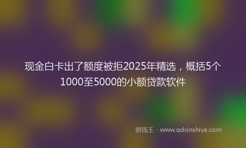 现金白卡出了额度被拒2025年精选，概括5个1000至5000的小额贷款软件