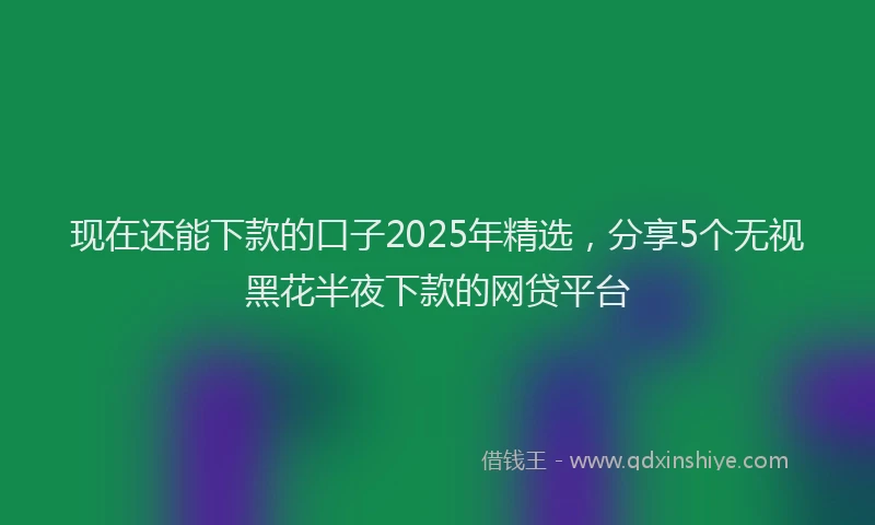 现在还能下款的口子2025年精选，分享5个无视黑花半夜下款的网贷平台