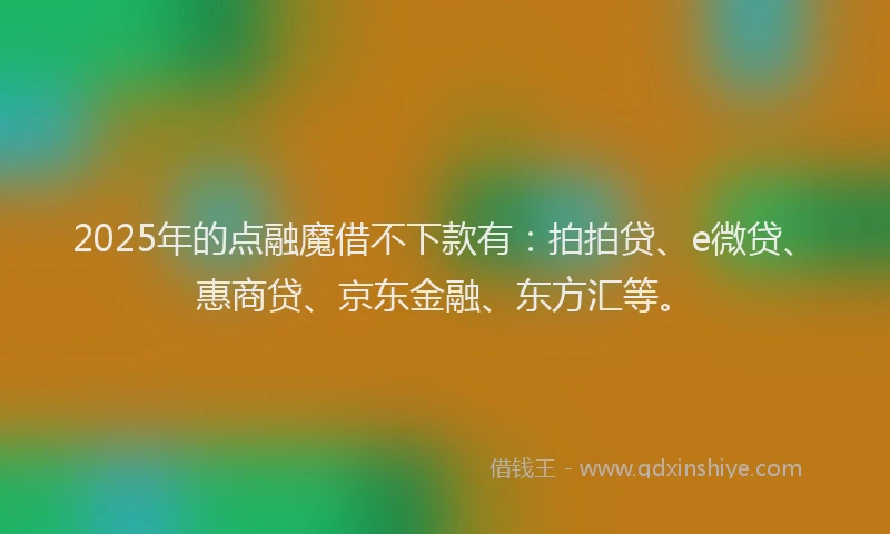 2025年的点融魔借不下款有：拍拍贷、e微贷、惠商贷、京东金融、东方汇等。