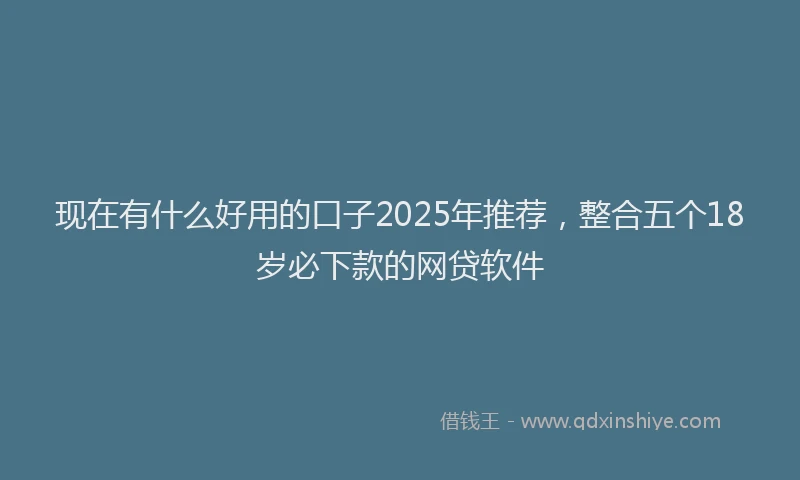 现在有什么好用的口子2025年推荐，整合五个18岁必下款的网贷软件
