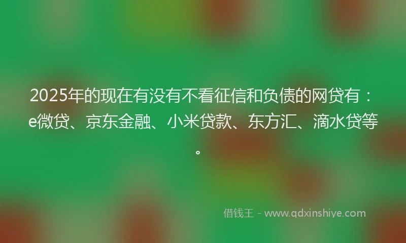 2025年的现在有没有不看征信和负债的网贷有：e微贷、京东金融、小米贷款、东方汇、滴水贷等。
