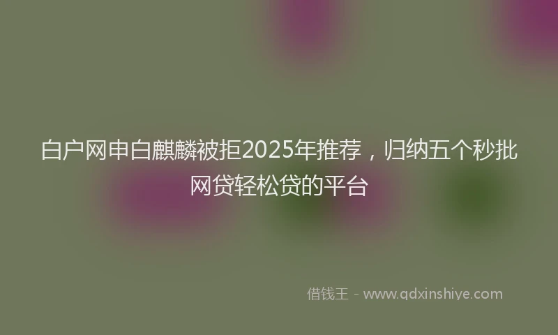 白户网申白麒麟被拒2025年推荐，归纳五个秒批网贷轻松贷的平台