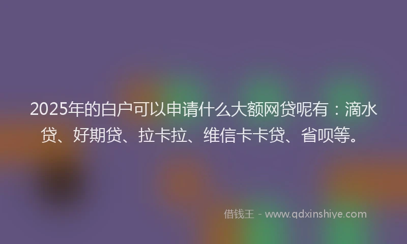 2025年的白户可以申请什么大额网贷呢有：滴水贷、好期贷、拉卡拉、维信卡卡贷、省呗等。