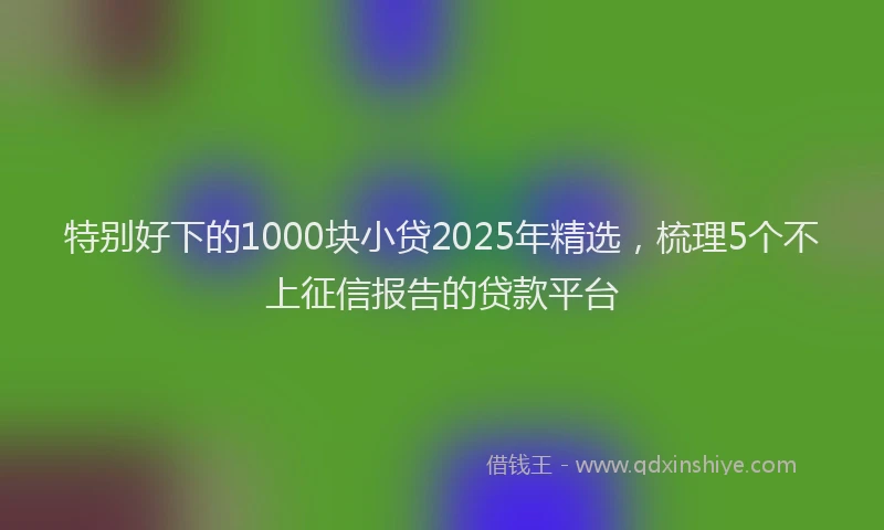 特别好下的1000块小贷2025年精选，梳理5个不上征信报告的贷款平台