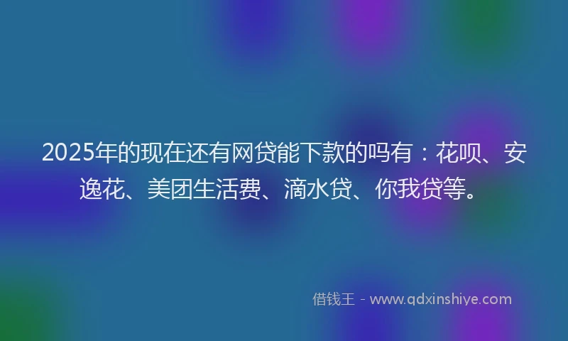 2025年的现在还有网贷能下款的吗有：花呗、安逸花、美团生活费、滴水贷、你我贷等。