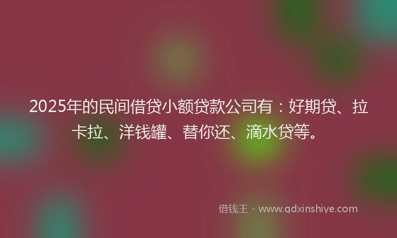 2025年的民间借贷小额贷款公司有：好期贷、拉卡拉、洋钱罐、替你还、滴水贷等。
