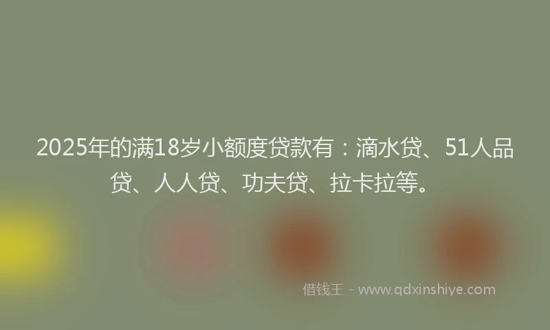 2025年的满18岁小额度贷款有：滴水贷、51人品贷、人人贷、功夫贷、拉卡拉等。