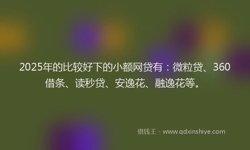 2025年的比较好下的小额网贷有：微粒贷、360借条、读秒贷、安逸花、融逸花等。