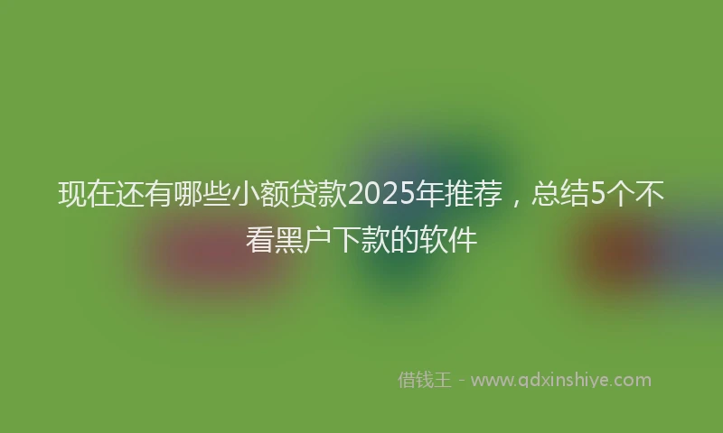 现在还有哪些小额贷款2025年推荐，总结5个不看黑户下款的软件