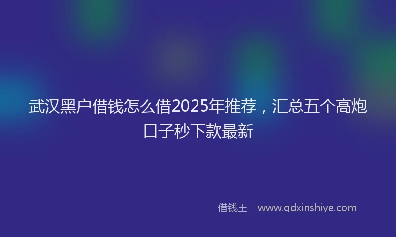 武汉黑户借钱怎么借2025年推荐，汇总五个高炮口子秒下款最新