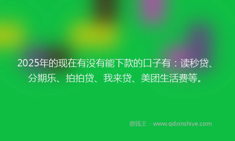 2025年的现在有没有能下款的口子有：读秒贷、分期乐、拍拍贷、我来贷、美团生活费等。