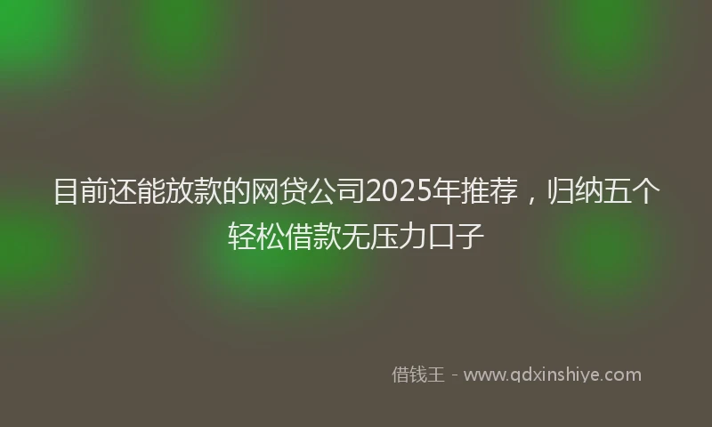 目前还能放款的网贷公司2025年推荐，归纳五个轻松借款无压力口子