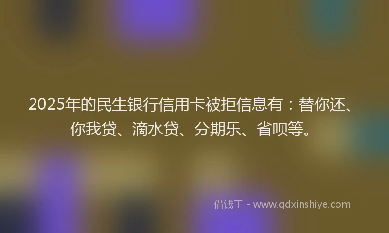 2025年的民生银行信用卡被拒信息有：替你还、你我贷、滴水贷、分期乐、省呗等。