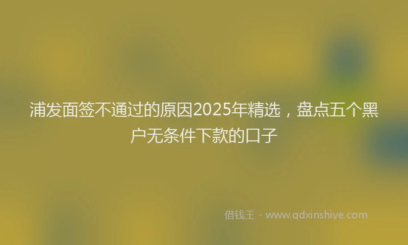 浦发面签不通过的原因2025年精选，盘点五个黑户无条件下款的口子
