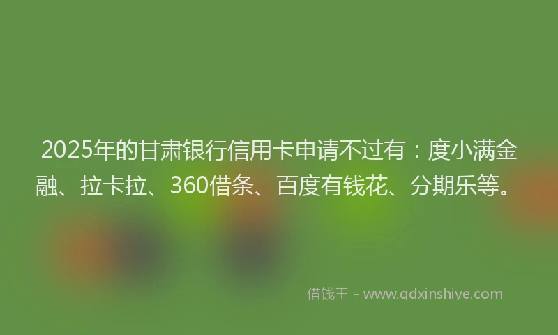 2025年的甘肃银行信用卡申请不过有：度小满金融、拉卡拉、360借条、百度有钱花、分期乐等。